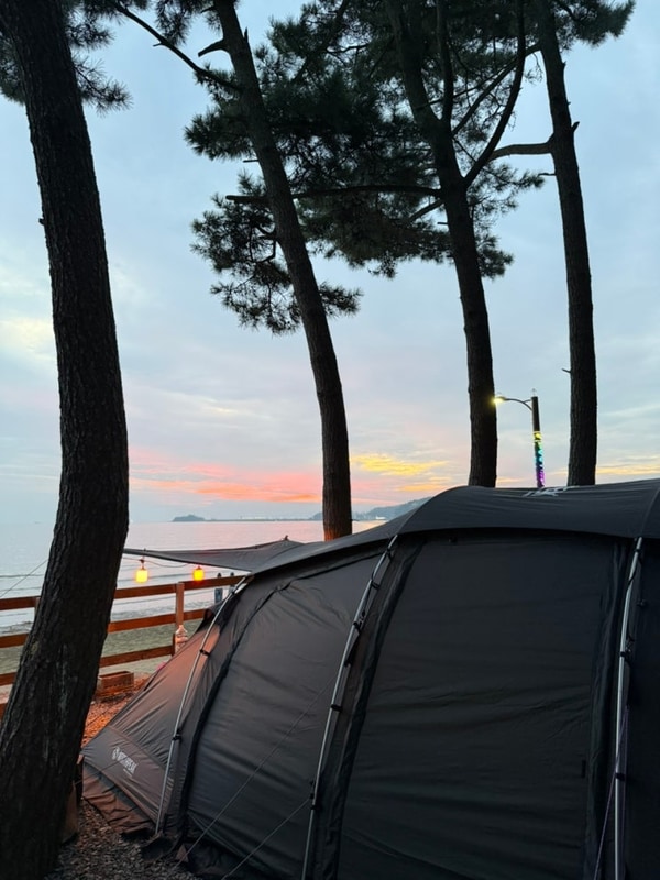 가을캠핑 태안몽산포오토캠핑장2구역