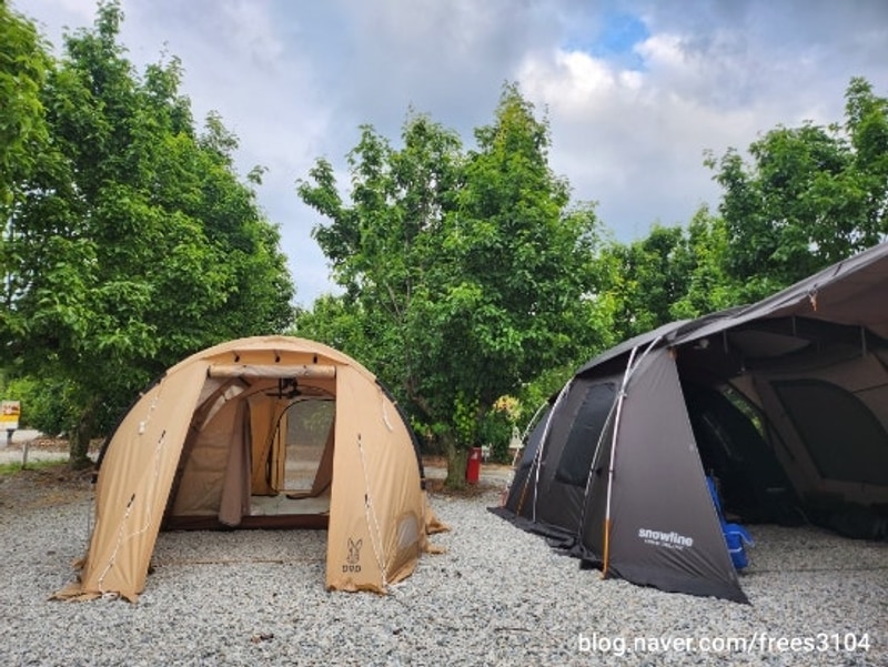 어쩌다 캠핑 - 예산 팜앤투어캠핑장 두번째방문