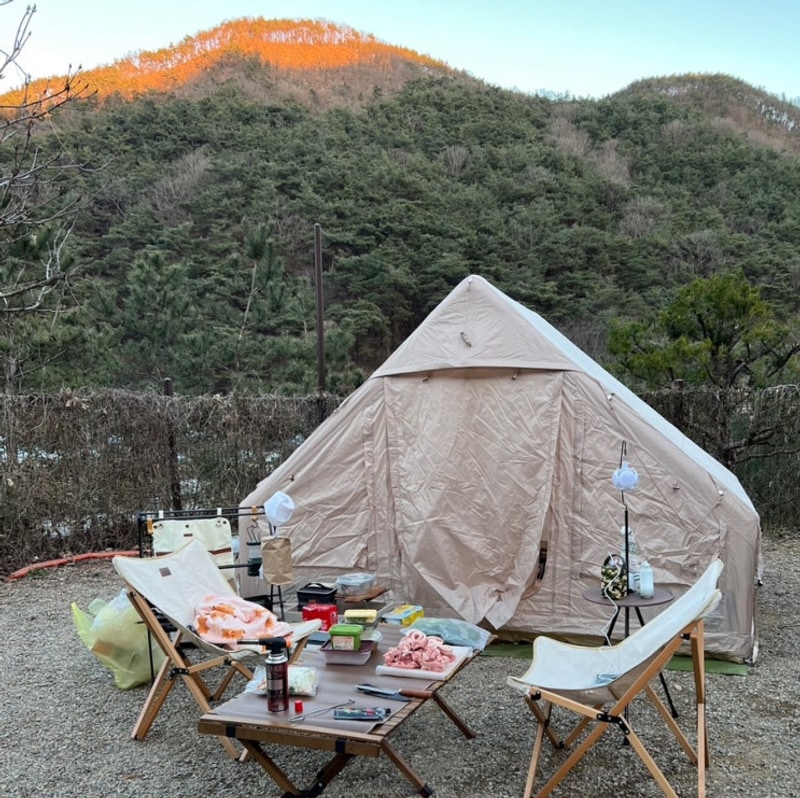 겨울 마무리 _ ( 고령 트리독스 애견동반캠핑장 단독사이트2번 )