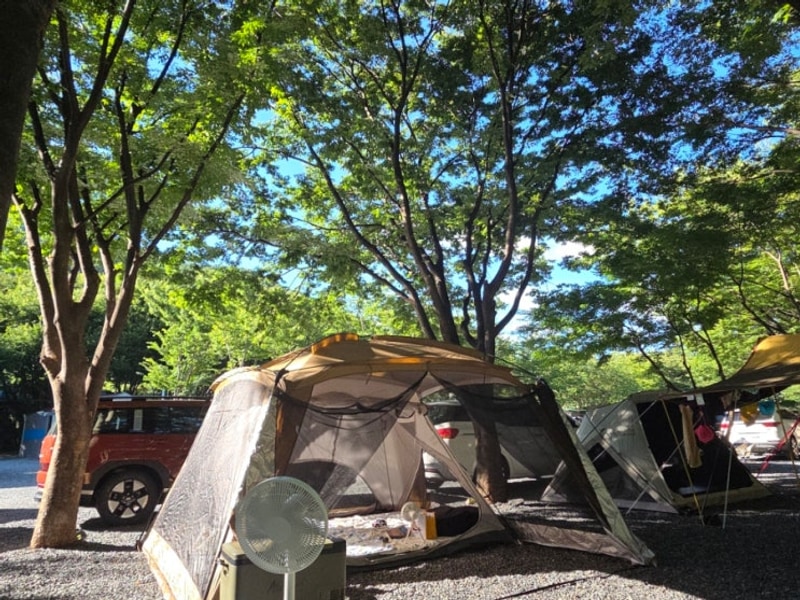 여름 계곡 물놀이 추천 밀양 캠핑장 추천 알프스 캠핑장