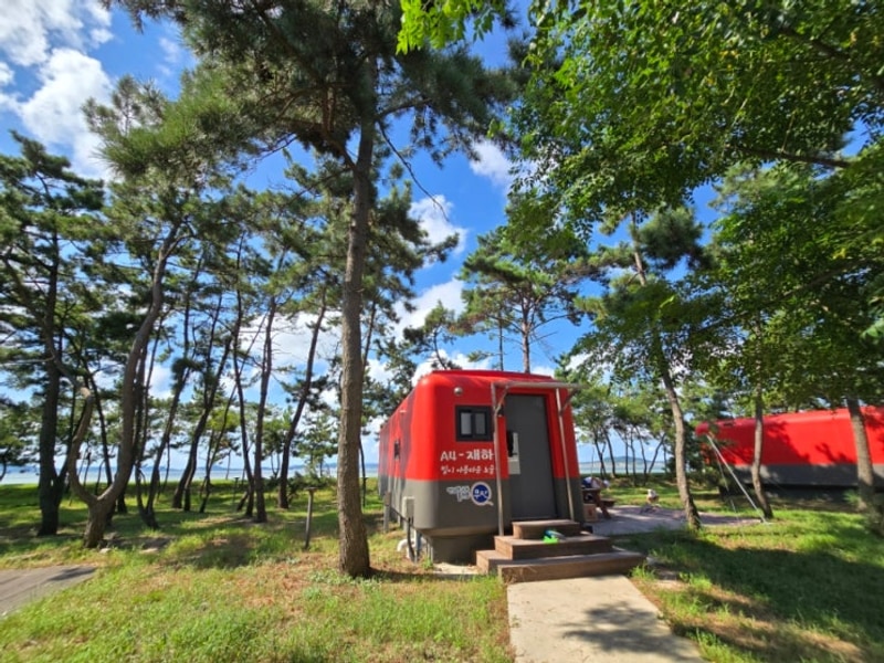 전남 무안 낙지공원 노을길야영장 카라반 가성비 최고...