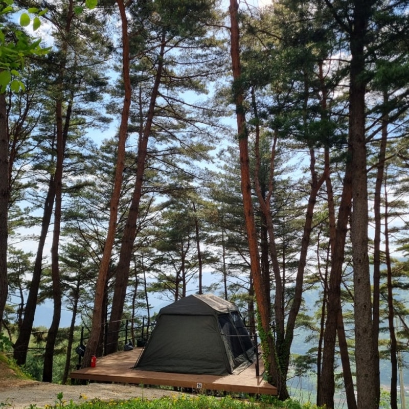 강원도 영월 구름품은 캠핑장 추천 16번