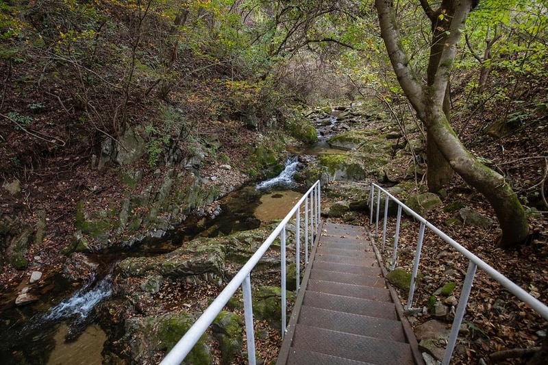 글렌 252 시설 사진 20