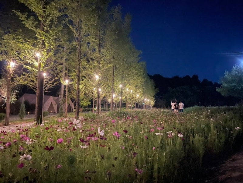 아산 캠핑장, 애견동반 수영장 캠크닉 모나팜캠핑장