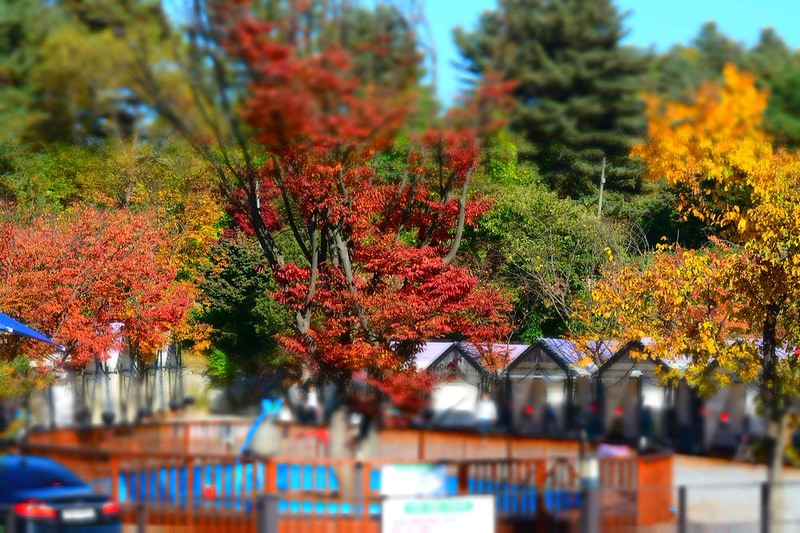 메이플트리글램핑 시설 사진 10