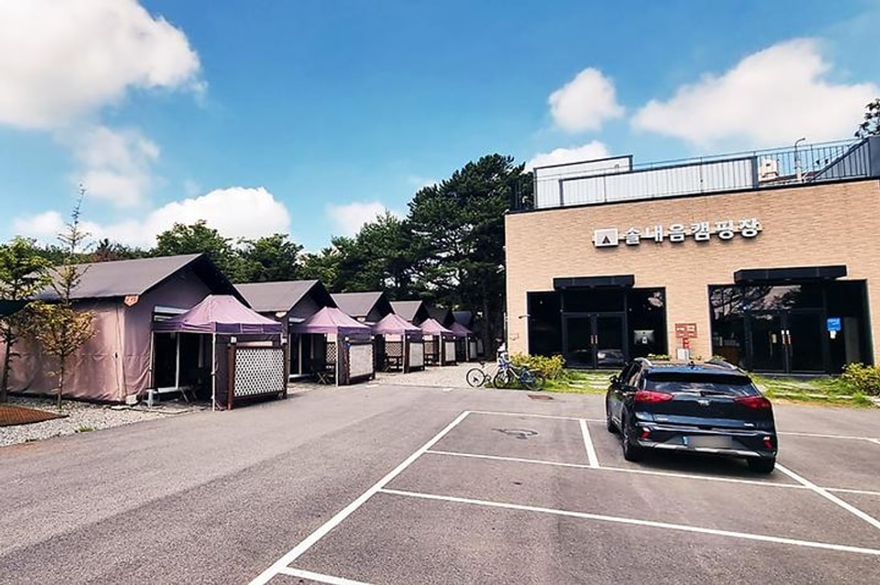 수원 솔내음 캠핑장 대표 사진