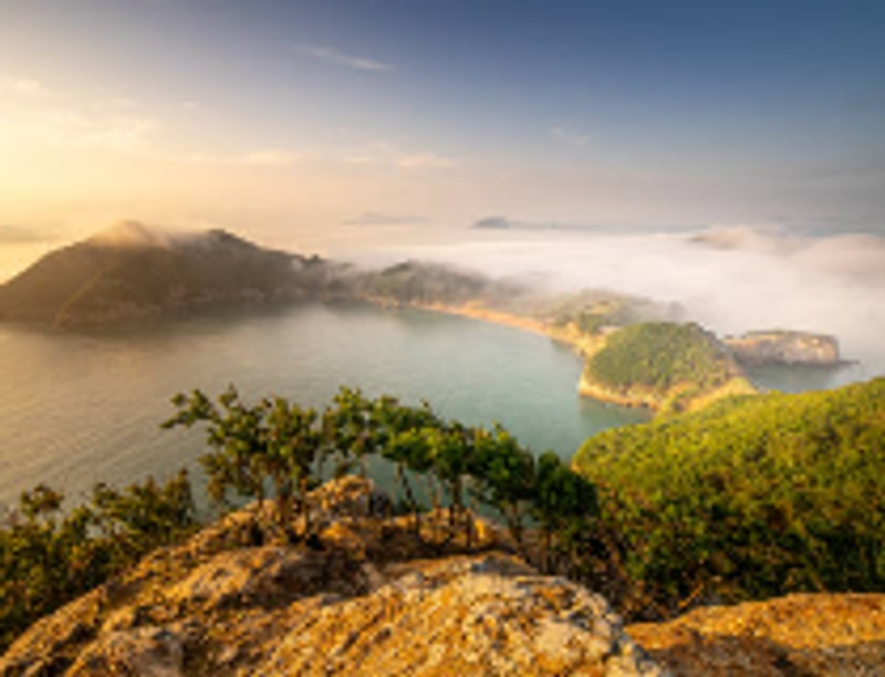 전라도 최고의 숲속 가족 캠핑장, 화순 ‘숲속의 베리팜’ 솔직...
