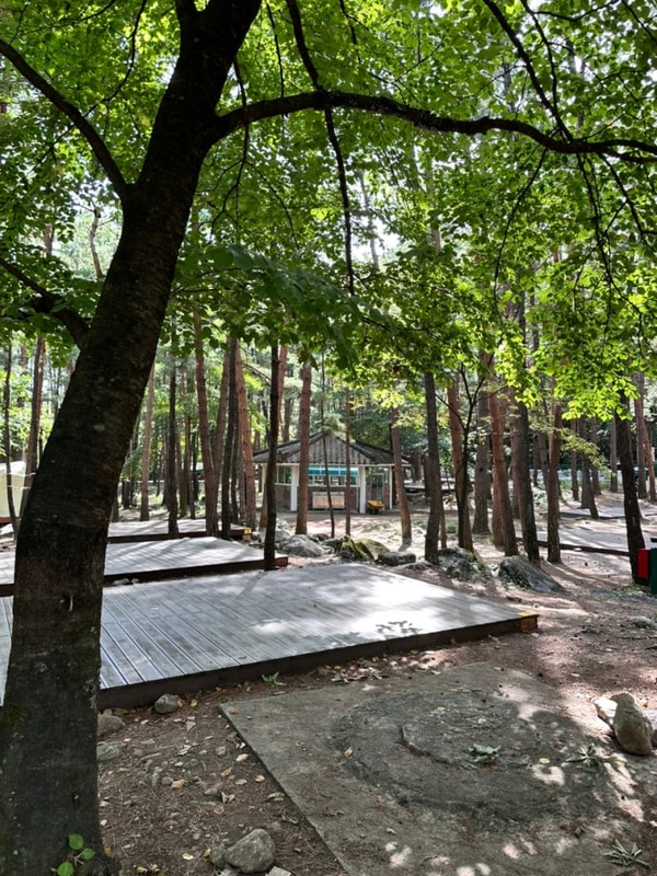 계곡 물놀이로 최고인 동해 무릉계곡힐링캠핑장, 예약 및...