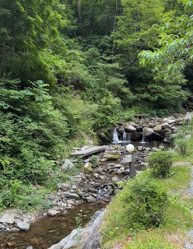 정선 계곡 펜션 가족 여행 : 정선 도원펜션 & 캠핑장