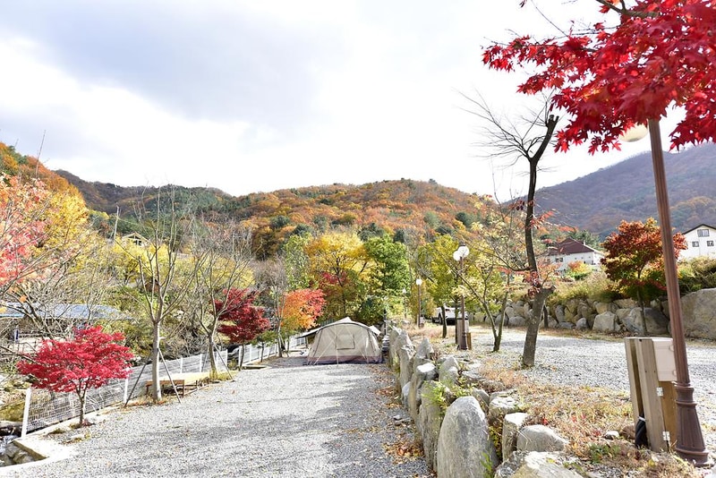 올래캠핑장 시설 사진 5