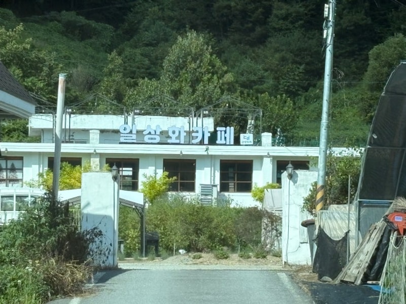 보은:) 보은 글램핑/ 일상화 글램핑/ 청주근교 글램핑장