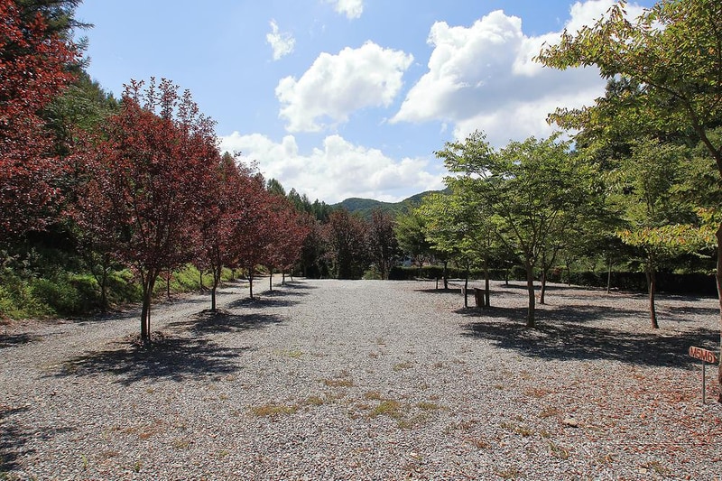 아빠의나무 야영장 시설 사진 16