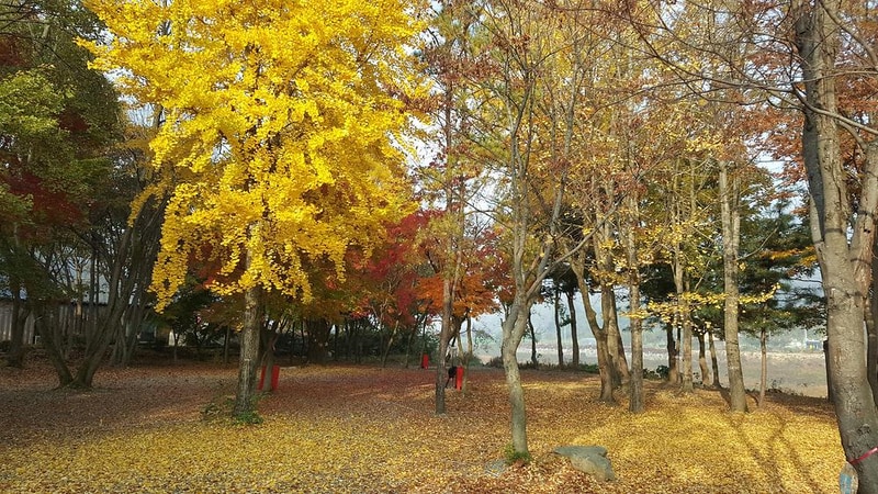 써니밸리오토캠핑장 시설 사진 7