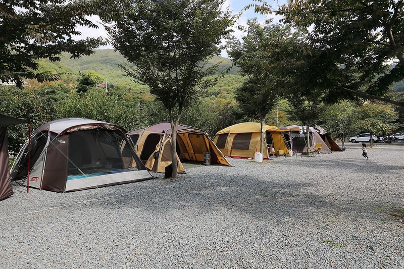 반딧불이 캠핑장 시설 사진 10