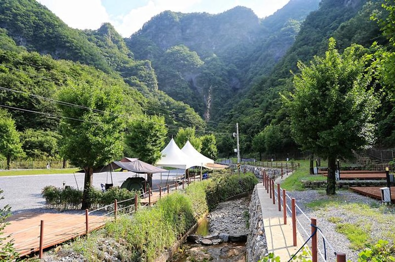 코끼리마을 대표 사진