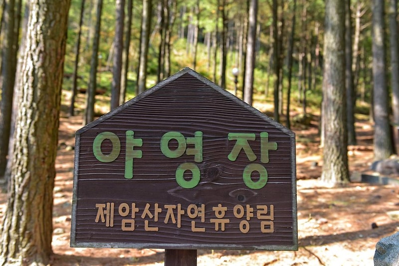 제암산자연휴양림 야영장 시설 사진 12