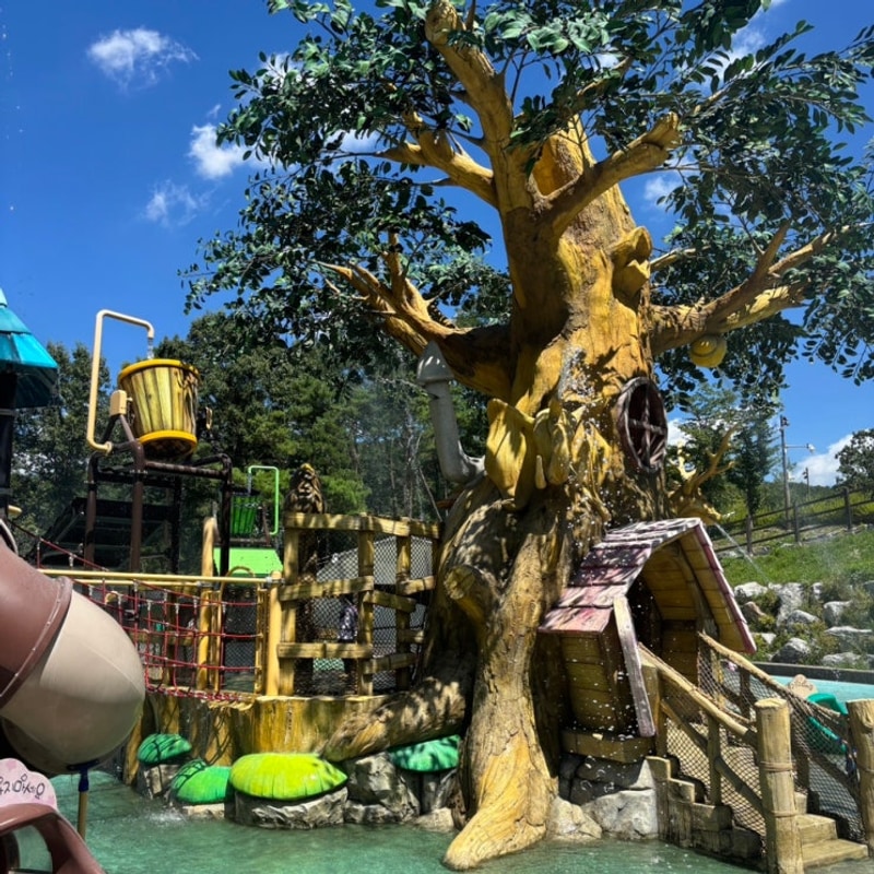 경주 여름 아이랑 가볼만한곳 보문카라반파크 물놀이장...