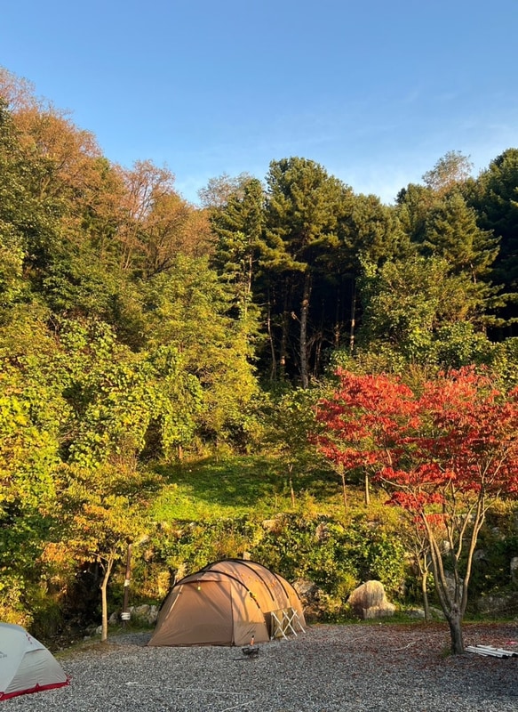 [세계 이곳저곳] 블루문 캠핑장 가평 내돈내산 방문 후기 (위치...