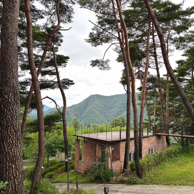 영월구름품은캠핑장 / 애견동반가능캠핑장
