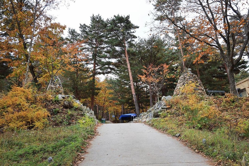 강릉 노추산 힐링캠프 시설 사진 12