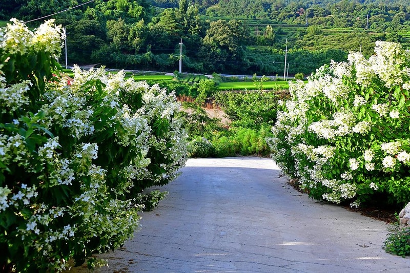 해인캠핑장 시설 사진 14