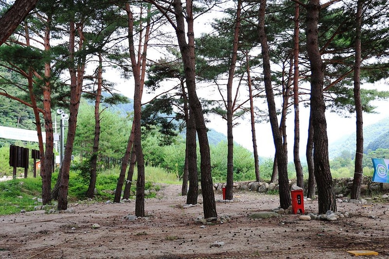 한계2리 솔밭야영장 시설 사진 17