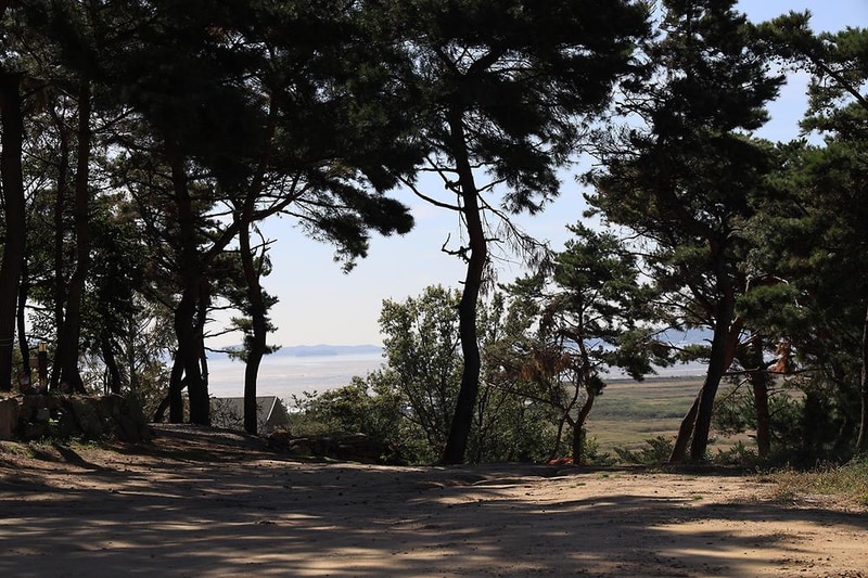 강화도 아침 숲속야영장 시설 사진 6