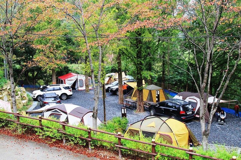 장태산 자연휴양림 시설 사진 3