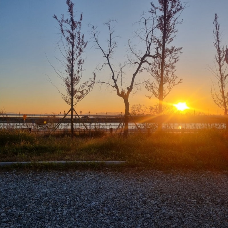 평택항 국민여가캠핑장 예약팁 명당자리 E4 직접 이용 후기...