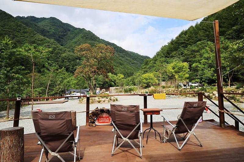 그린필로우 대표 사진