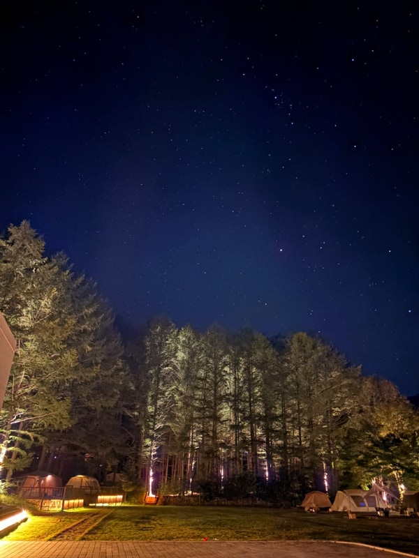 [평창캠핑] 5성급 애견동반 캠핑장 추천, 휘게포레스트