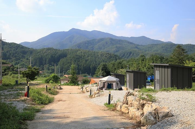 모짜르트 대표 사진