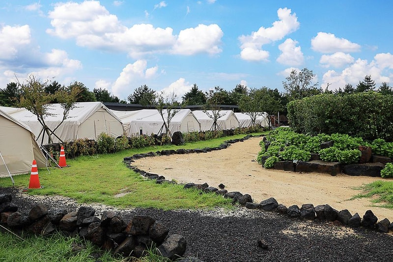 아이올레 인 포레스트 캠핑 시설 사진 1