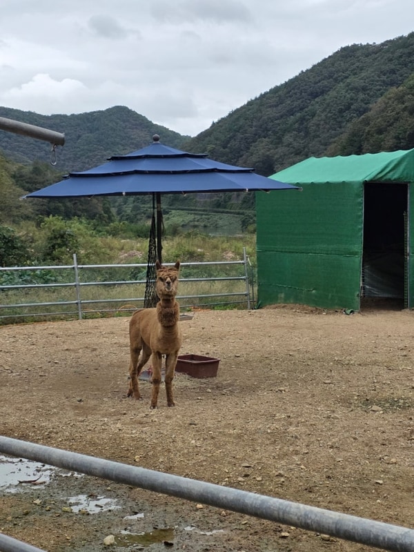 문경 애견동반 오토캠핑장