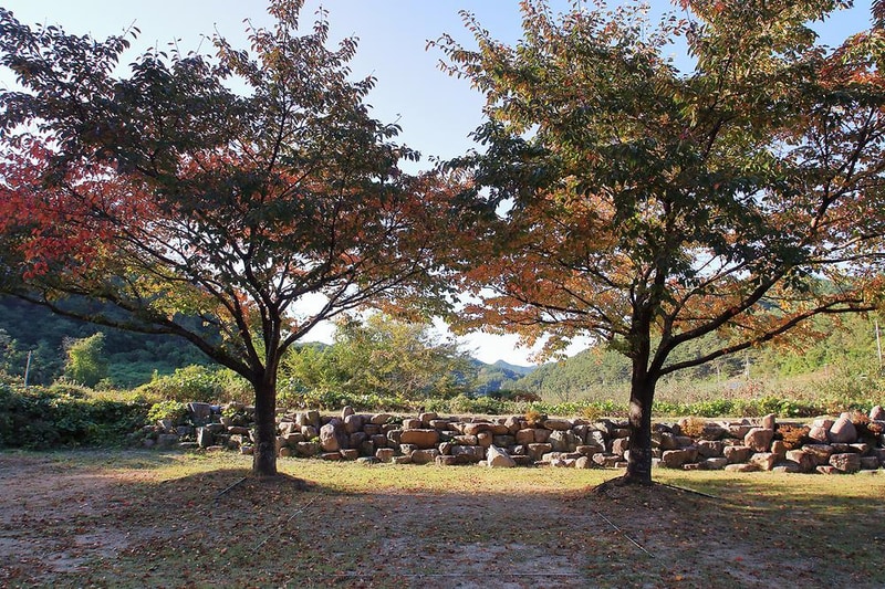 위정캠핑장 시설 사진 12