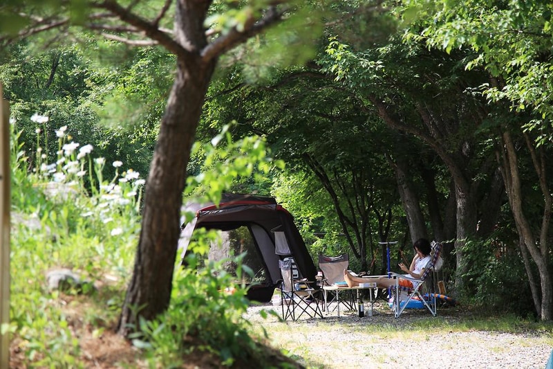 용골송어와 캠핑 시설 사진 6