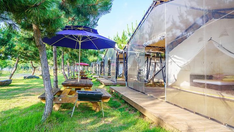 서천갯벌체험글램핑 대표 사진