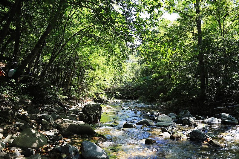 국립삼봉자연휴양림 야영장 시설 사진 10