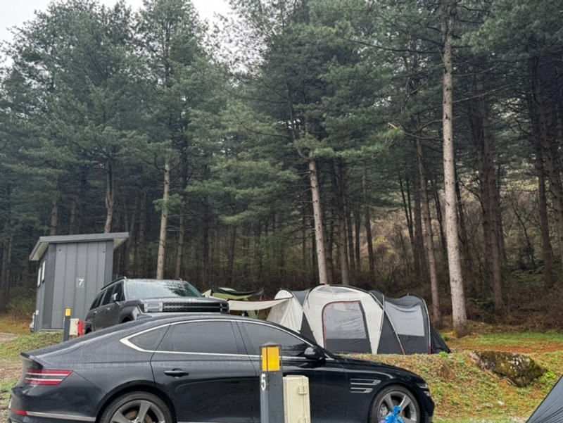 양평 오토 캠핑장, 개별화장실 있는 모짜르트 캠핑장 솔직 후기...