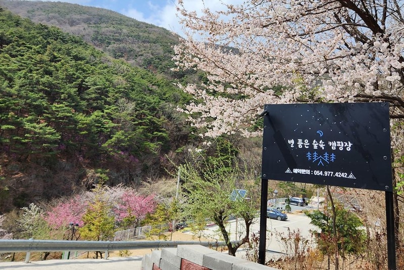 별품은 숲속 캠핑장 시설 사진 13