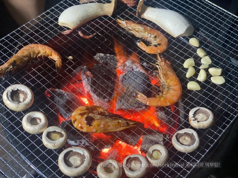 강화도 카라반 - 쥬라기카라반!