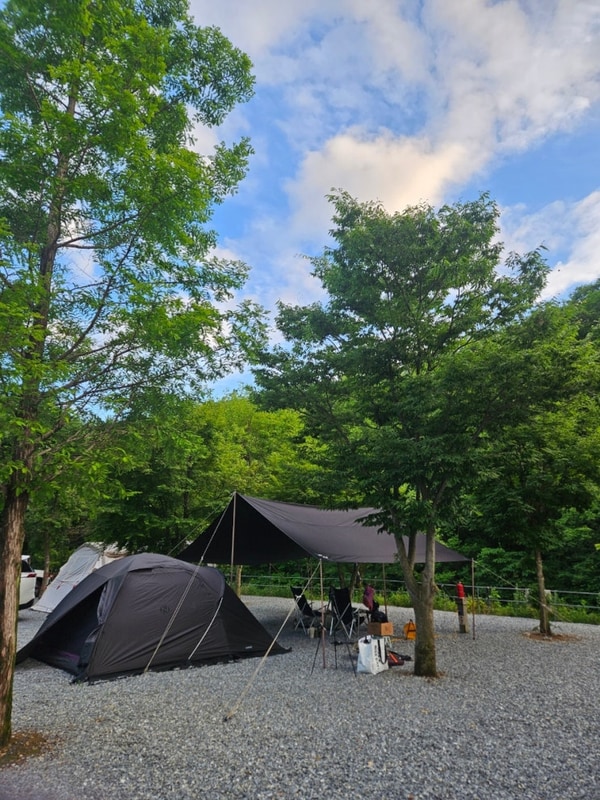 문경 계곡 캠핑장 아이들 천국인 리우캠핑장(feat. 반려견...