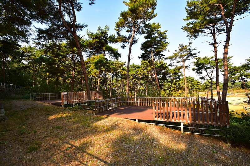 무창포솔원캠핑장 시설 사진 12