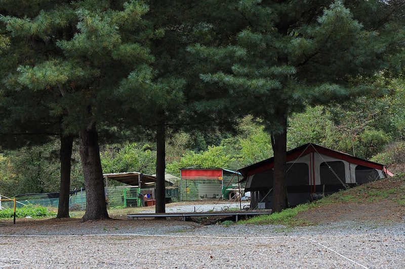 늘솔길 캠핑장 시설 사진 21