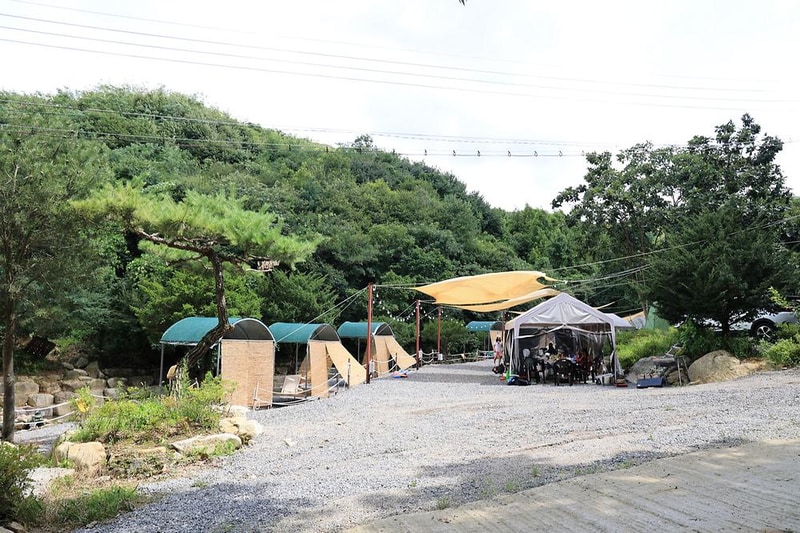 농업회사법인 시즌온 주식회사 시설 사진 13