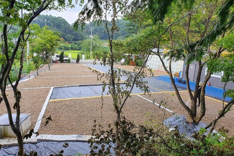 더힐링식물원 야영장 시설 사진 21