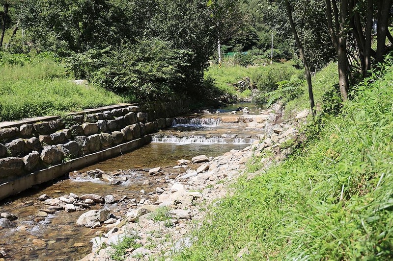 대룡산 오토캠핑장 시설 사진 13