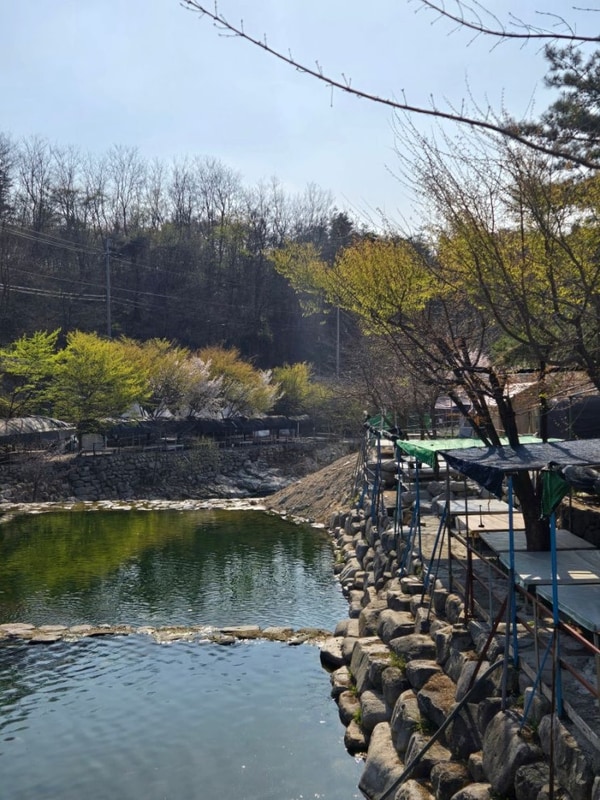군위 솔밭야영장 | 팔공산 캠핑장 찾고있다면 여기로 오세요!