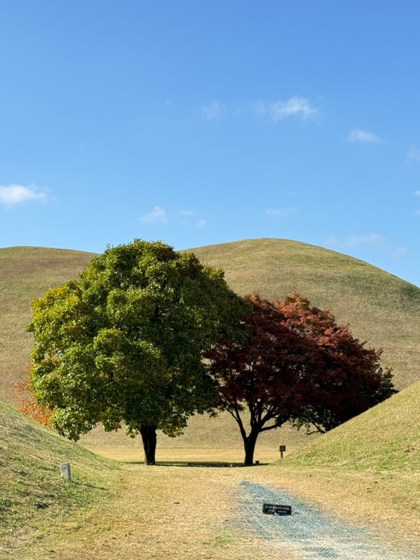 경주 여행 코스 1일차 (feat.... 노워즈, 보문카라반파크)