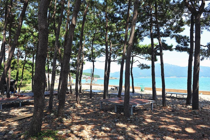 월포해수욕장야영장 시설 사진 5